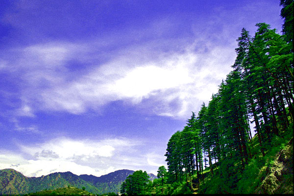 Dhanaulti