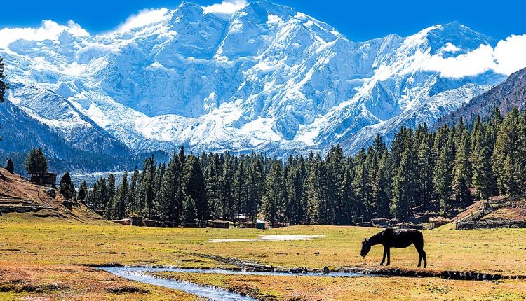 Nanga parbat Range