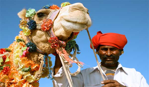 Pushkar Camel Fair