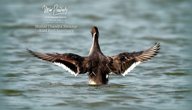 Shahid Chandra Shekhar Azad Bird Sanctuary