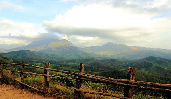 Eravikulam National park