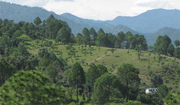 Kausani
