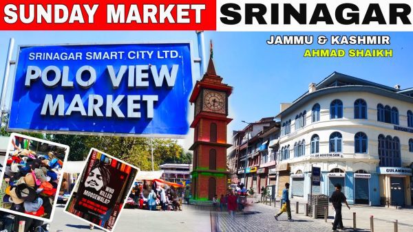 Polo View Market