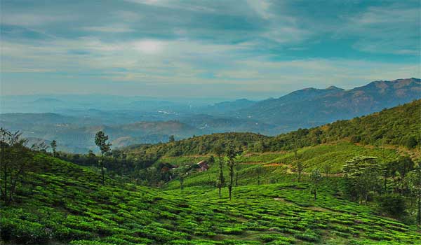 Wayanad