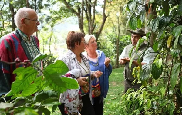 Spice Plantation Walks