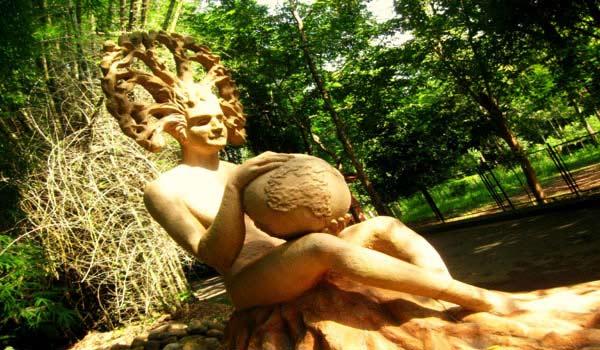 teak museum nilambur