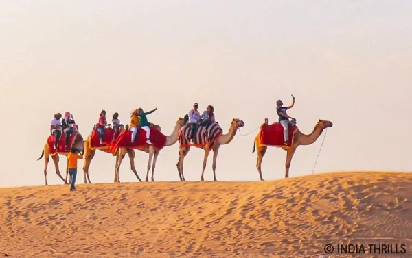 Camel Safari Rajasthan