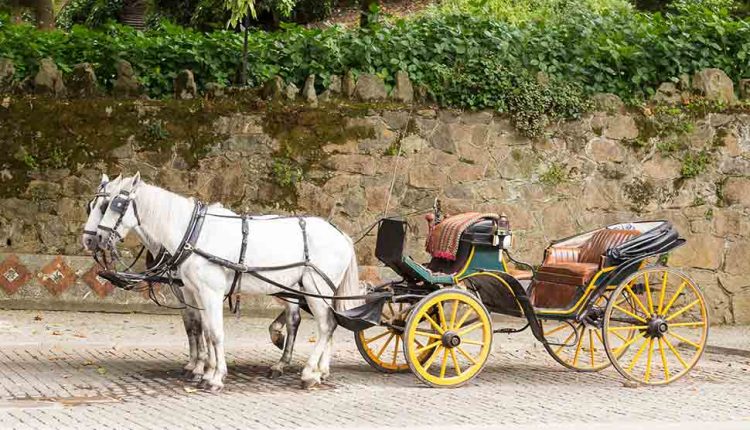 Horse carriage