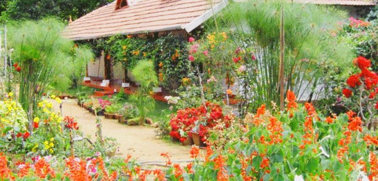 Munnar Things To Do