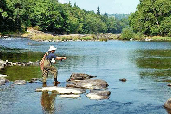 Trout Fishing Munnar