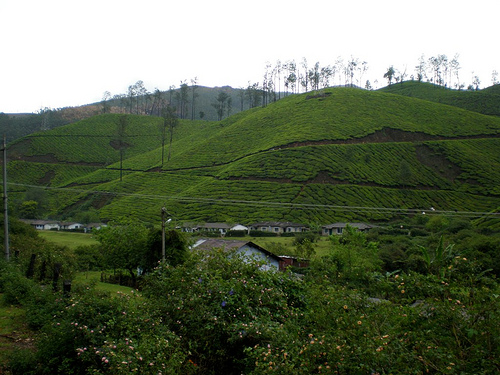munnar-tourism