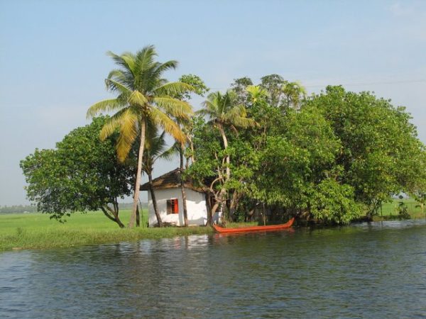 Kuttanad in Alleppey