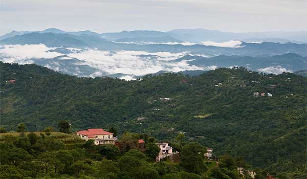 Kasauli