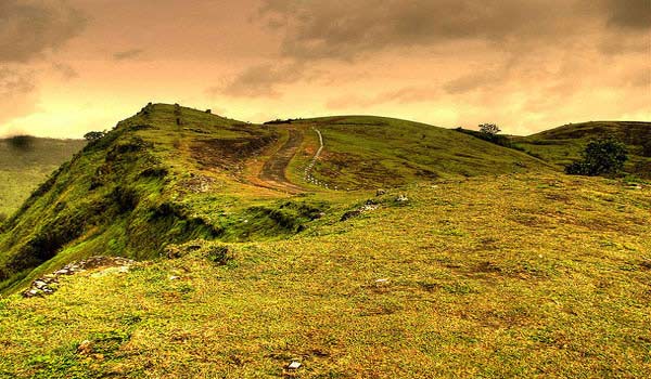 Vagamon