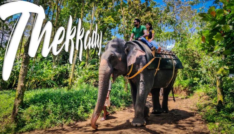 Best Romantic Getaways From Cochin
