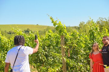 Small-Group Tuscany Wine Safari from Florence | Wine Tasting Tour
